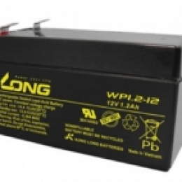 WP1.2-12